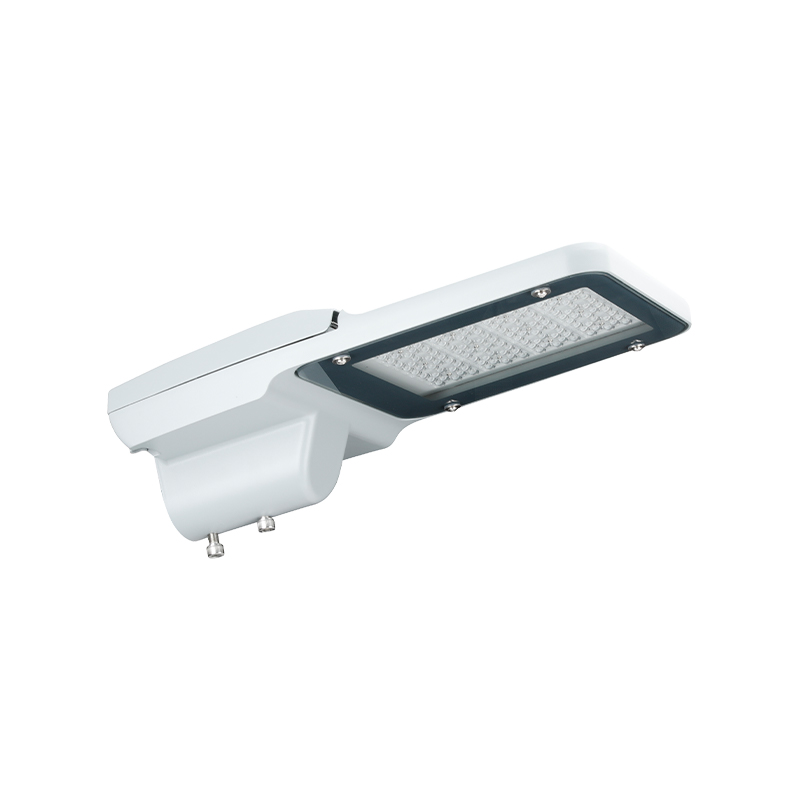 Outdoor IP66 waterdichte PACIFIC LITE-serie LED-straatverlichtingsarmaturen