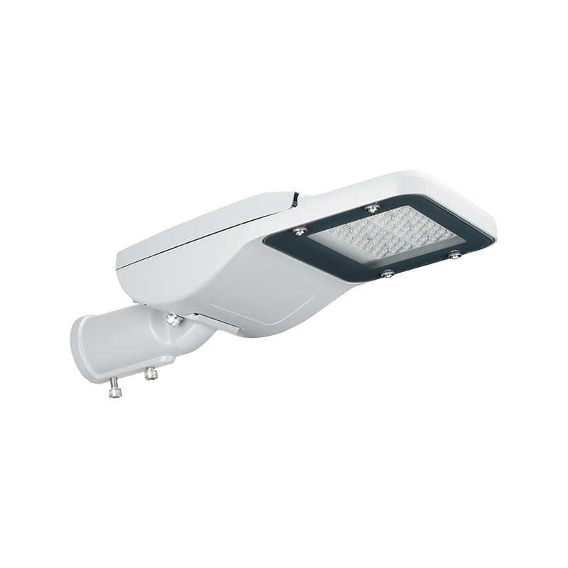 Verstelbare PACIFIC PRO-serie LED-straatverlichting voor openbare verlichting